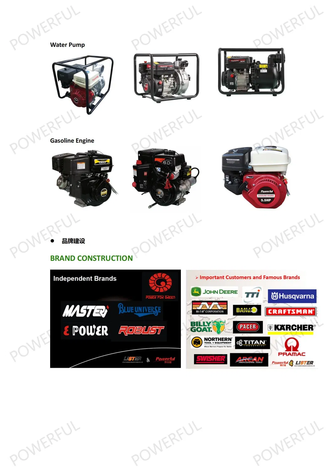 Powerful Wp20t 4.4kw 2.0 Inch Recoil Start Gasoline Engine Water Pump