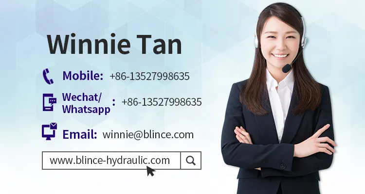 Replace Vickers Vq Sigle Vane Pumps 20vq/25vq/35vq/45vq for Sell