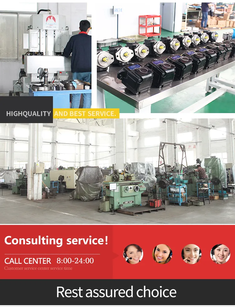 Rexroth A2f Series Hydraulic Pump Parts Axial Piston Pumps Parts A2f5/12/23/28/55/80/107/160/200/225/250/355/500/1000