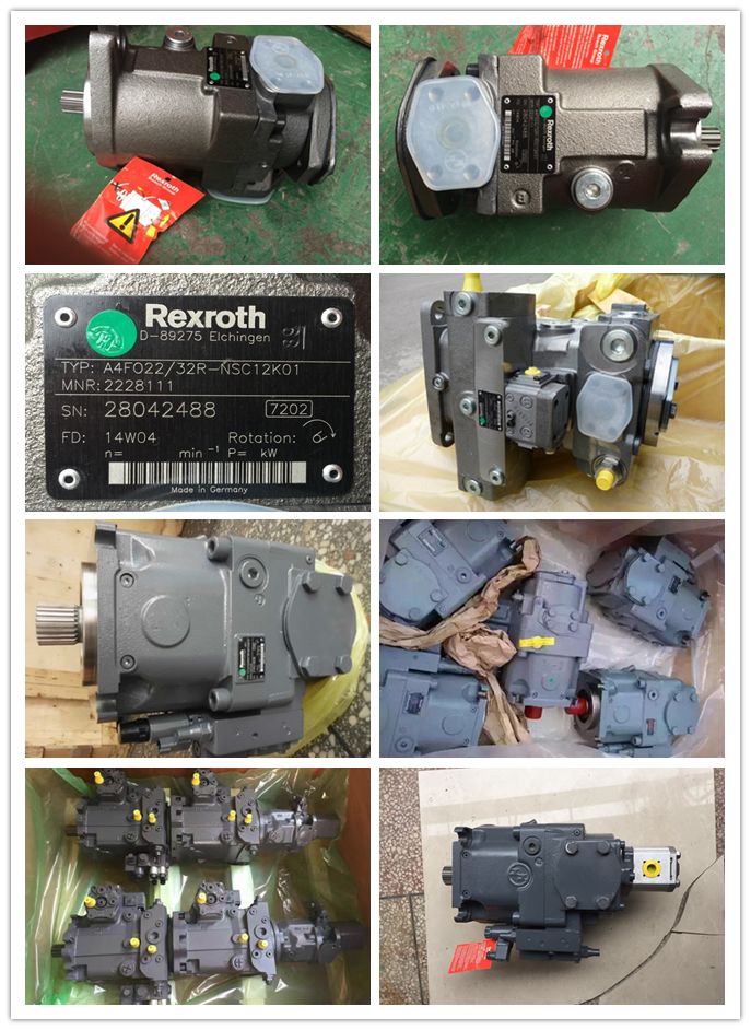 Rexroth A4vg40 A4vg56 A4vg71 A4vg90 A4vg125 A4vg180 A4vg250 Hydraulic Piston Pump A4vg125-Hwd1/32r-NSF52f001f-S