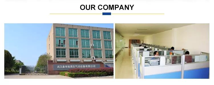 Rexroth A4vg40 A4vg56 A4vg71 A4vg90 A4vg125 A4vg180 A4vg250 Hydraulic Piston Pump A4vg125-Hwd1/32r-NSF52f001f-S