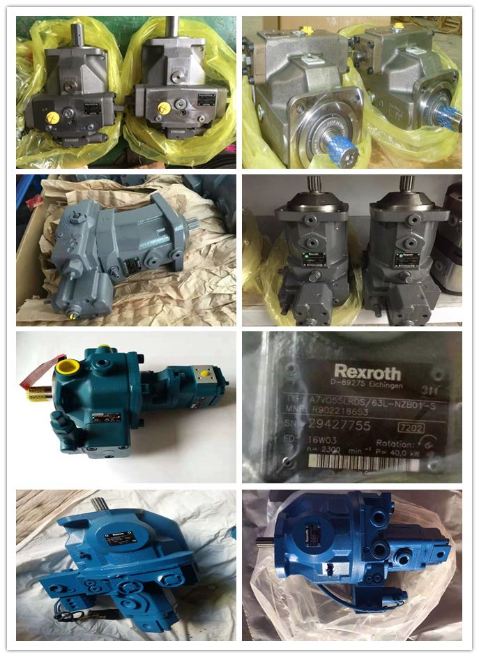 Rexroth A4vg40 A4vg56 A4vg71 A4vg90 A4vg125 A4vg180 A4vg250 Hydraulic Piston Pump A4vg125-Hwd1/32r-NSF52f001f-S