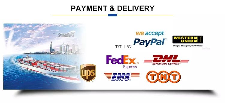 Rexroth A4vg40 A4vg56 A4vg71 A4vg90 A4vg125 A4vg180 A4vg250 Hydraulic Piston Pump A4vg125-Hwd1/32r-NSF52f001f-S