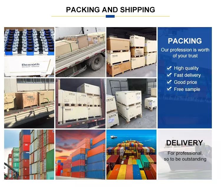 Rexroth A4vg40 A4vg56 A4vg71 A4vg90 A4vg125 A4vg180 A4vg250 Hydraulic Piston Pump A4vg125-Hwd1/32r-NSF52f001f-S