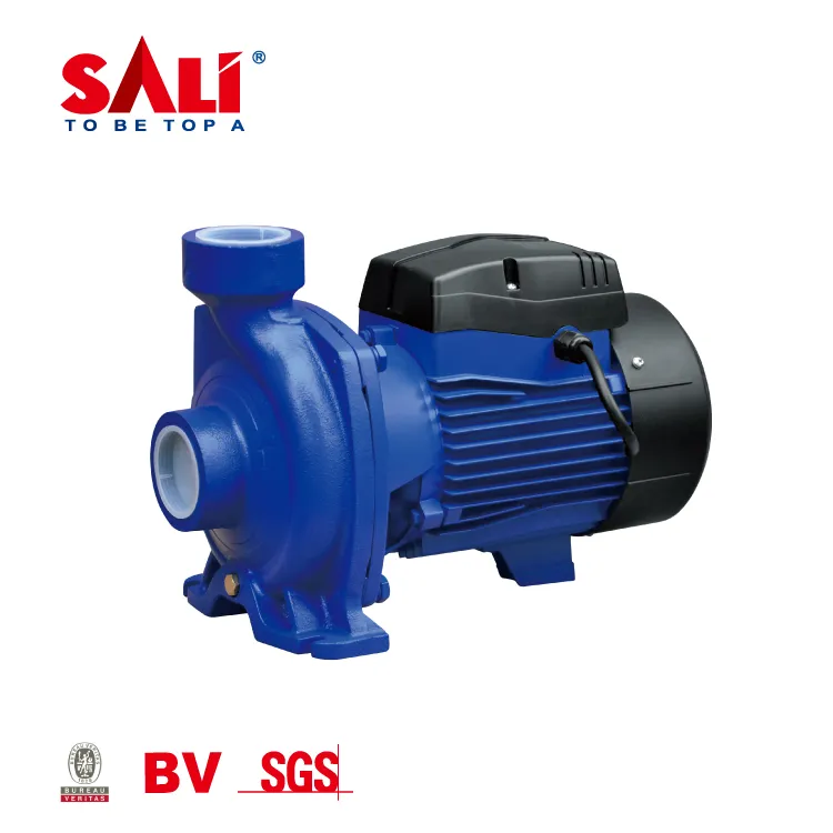 Sali 1wzb-65 0.75kw/1HP 50m 50L/Min Sali Proffessional Water Pump