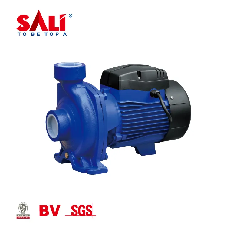 Sali 1wzb-65 0.75kw/1HP 50m 50L/Min Sali Proffessional Water Pump