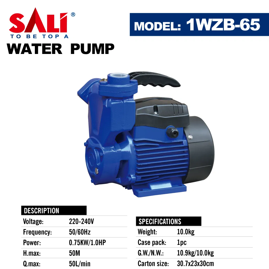 Sali 1wzb-65 0.75kw/1HP 50m 50L/Min Sali Proffessional Water Pump