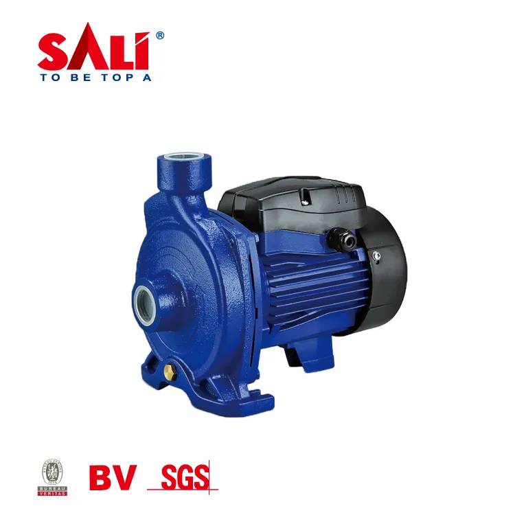 Sali 1wzb-65 0.75kw/1HP 50m 50L/Min Sali Proffessional Water Pump