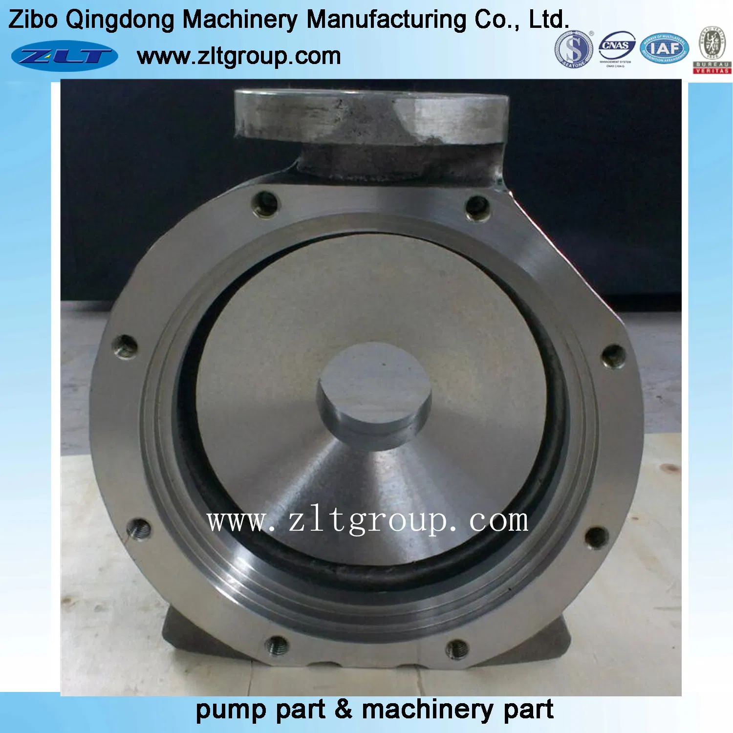 Sand Casting Stainless Steel /Carbon Steel Centrifugal Pump Casing