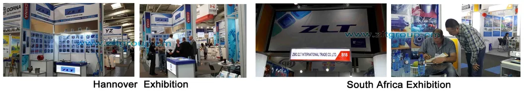 Sand Casting Submersible Pump Bowl Suction/Discharge/Int/Top Bowl in Cast Iron/Ca6nm-B