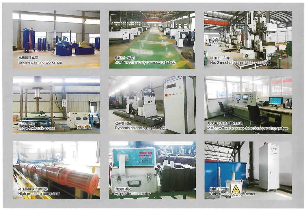 Sewage Discharge in The Llb/IC Factory Flame-Proof Submersible Sewage Pump