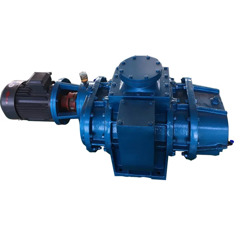 Shanghai Yulong Roots Vacuum Pump