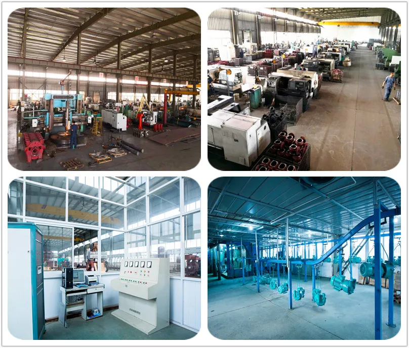 Shanghai Yulong Roots Vacuum Pump