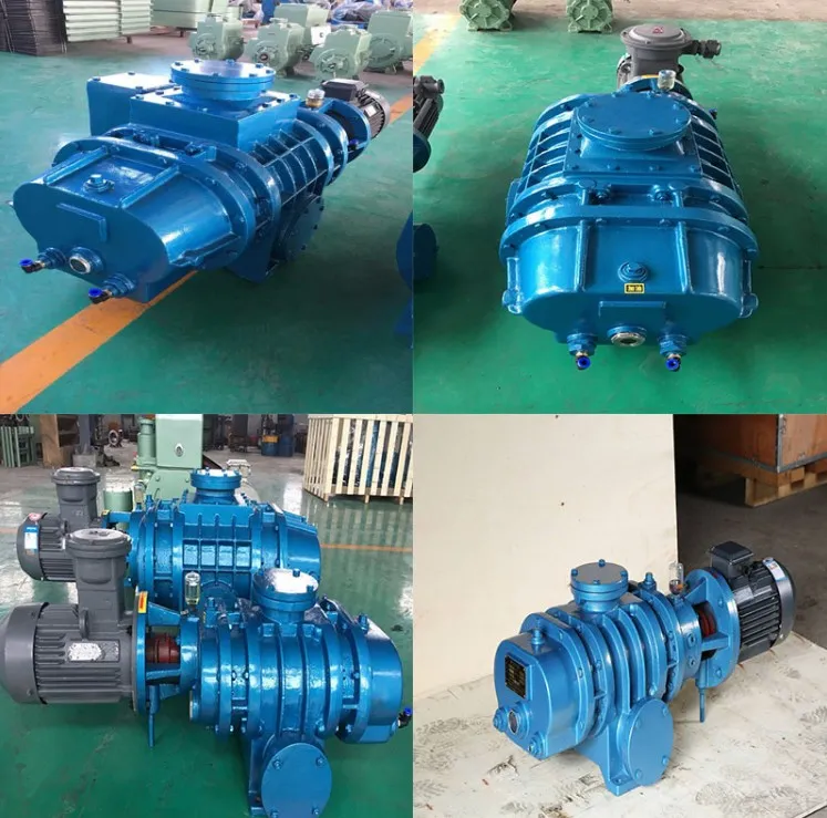 Shanghai Yulong Zjb-1200 Roots Vacuum Pump for Metallurgy