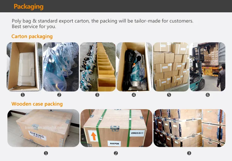 Single-Stage 1HP Submersible Clean Water Pump with Float