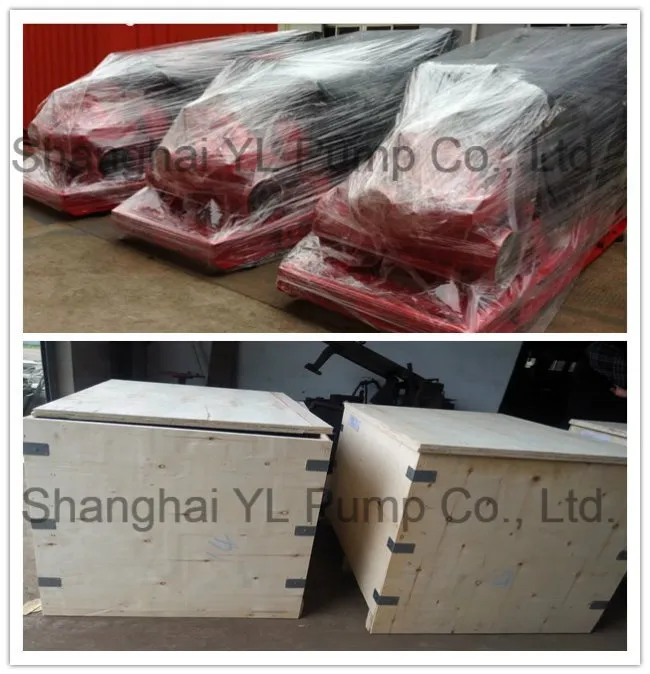 Single Stage Double Volute Suction Pump for Agriculture Irrigation