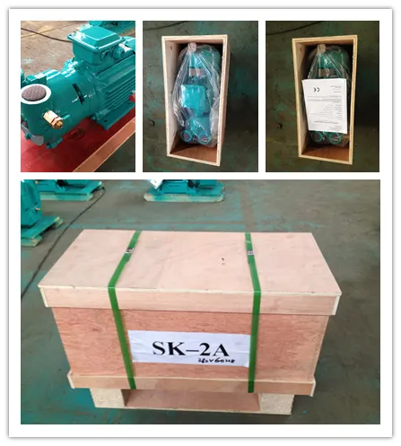 Sk-a Series Single Stage Liquid Ring Vacuum Pump Vacuum Pump for Plastic Industry