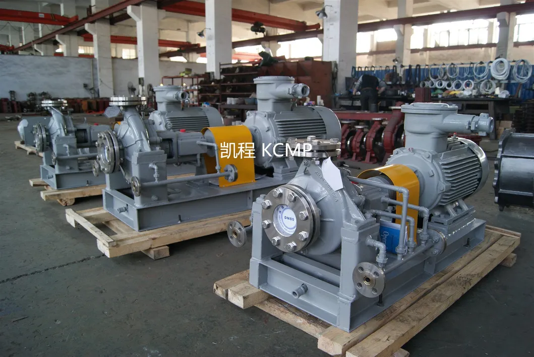 SS316L Power Station Chemical Pump