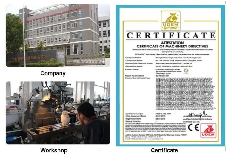 Stainless Steel Air Operated Pumps for Juice