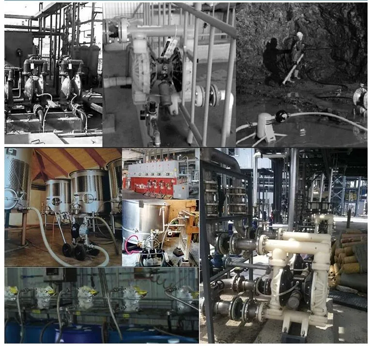 Stainless Steel Air Operated Pumps for Juice