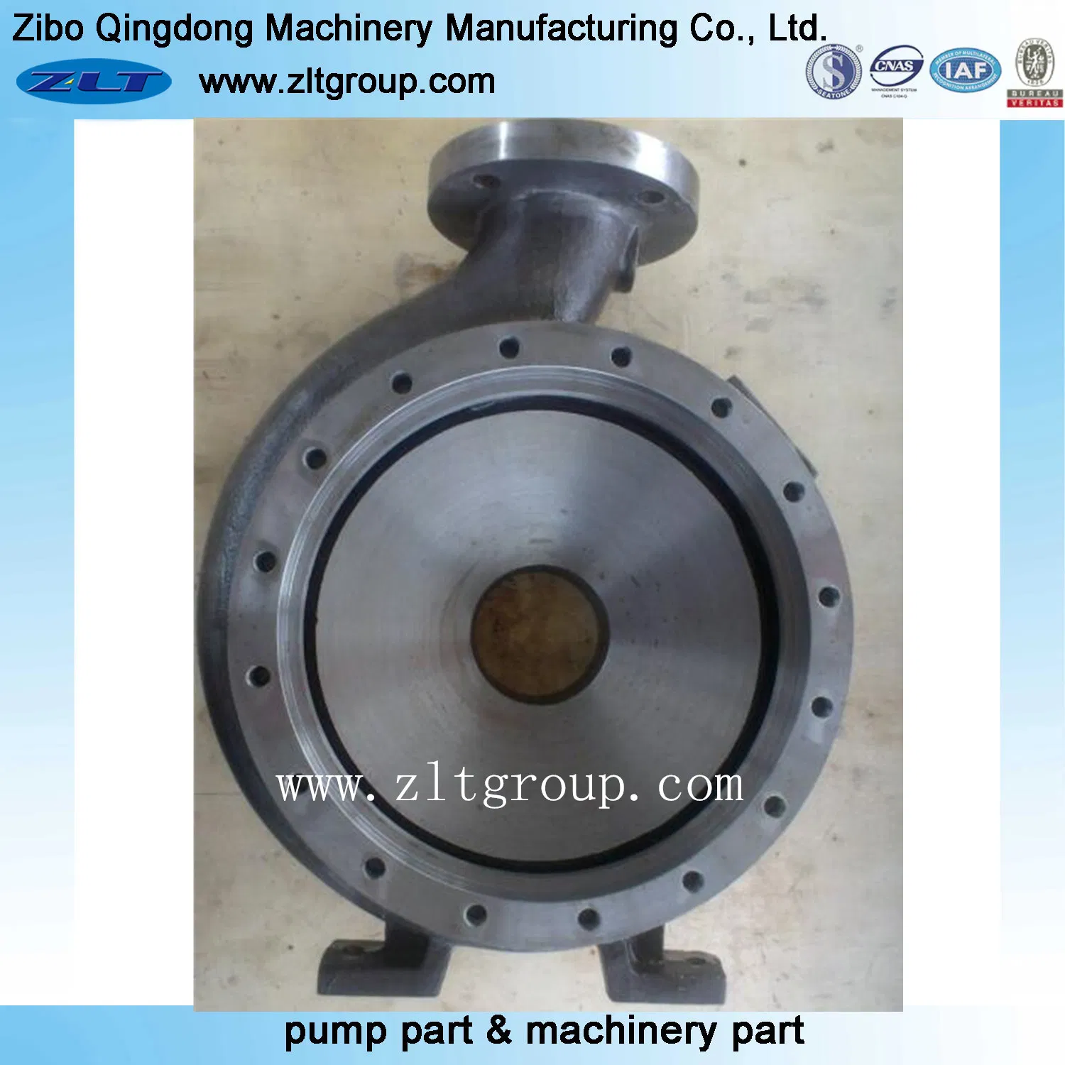 Stainless Steel/Carbon Steel Pump Casing for Industry