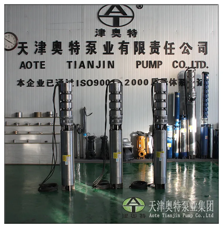 Stainless Steel Centrifugal Theory Electric Power Submersible Pump for Drinking Water