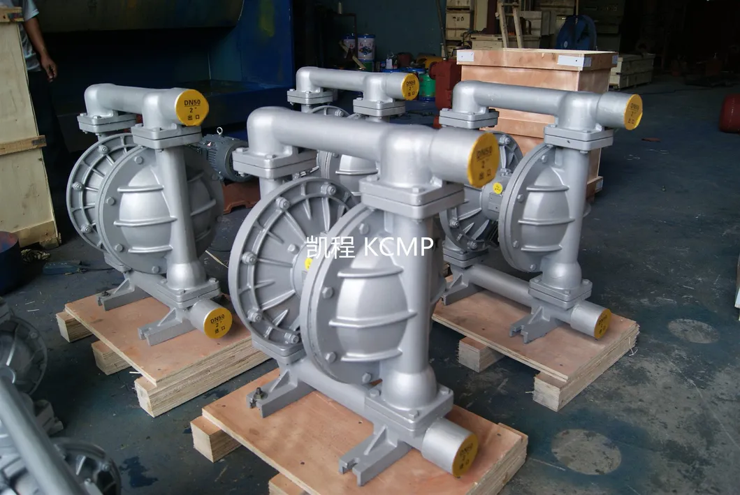 Stainless Steel Double Diaphragm Pump