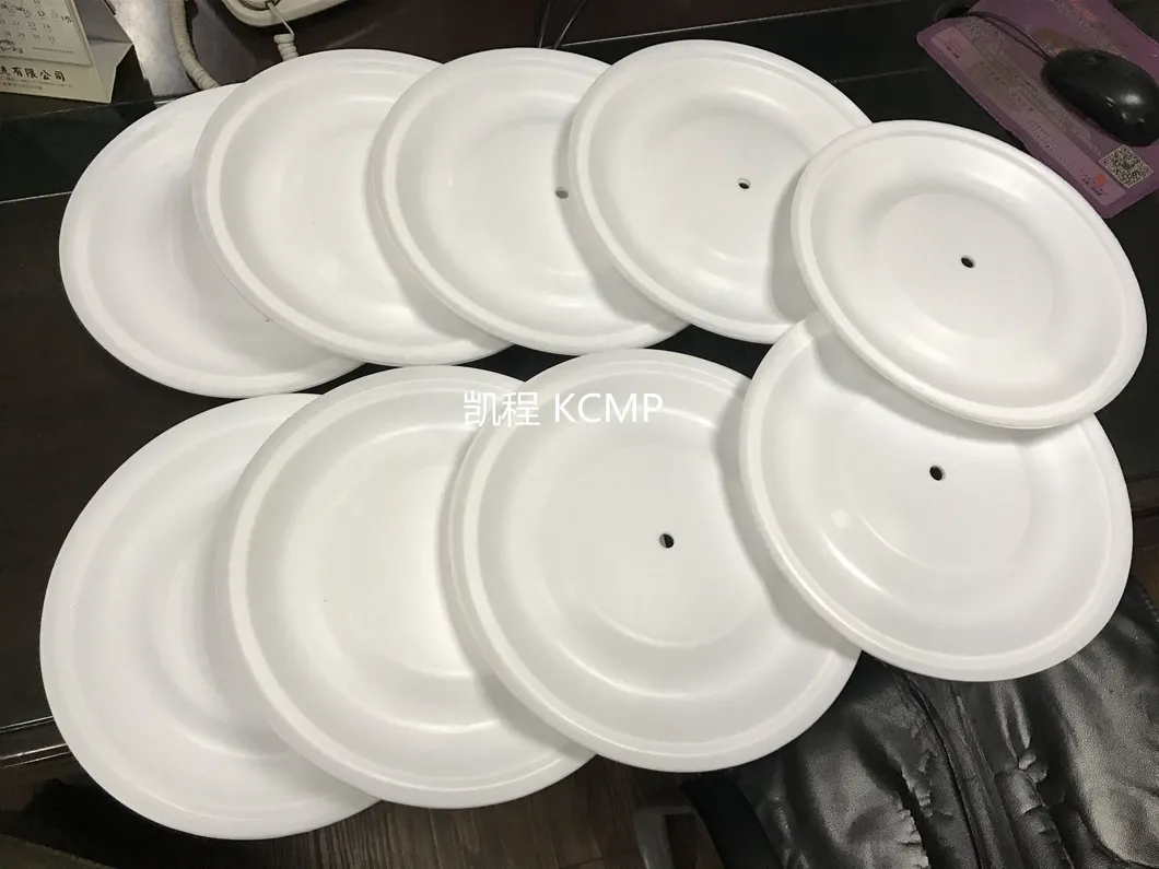 Stainless Steel Double Diaphragm Pump