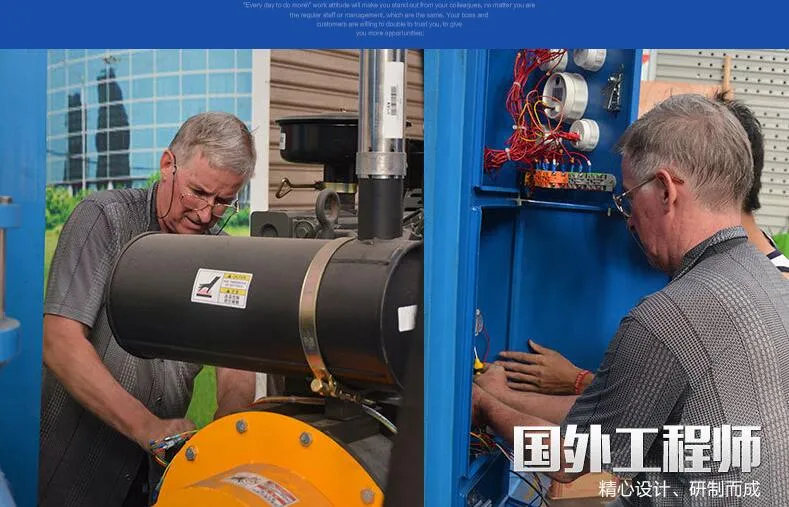 Stainless Steel High Quality Hot Thermal Oil Pump