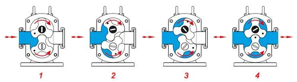SUS304 Sanitary Stainless Steel Food Grade Honey Rotary Lobe Pump Chocolate Pump Transfer Pump