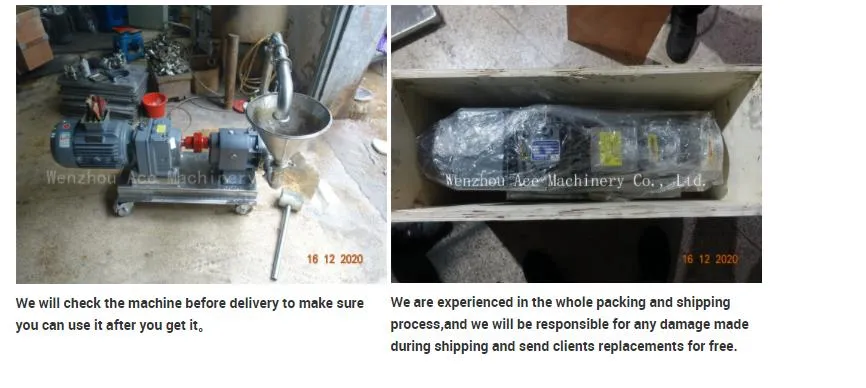 SUS304 Sanitary Stainless Steel Food Grade Honey Rotary Lobe Pump Chocolate Pump Transfer Pump