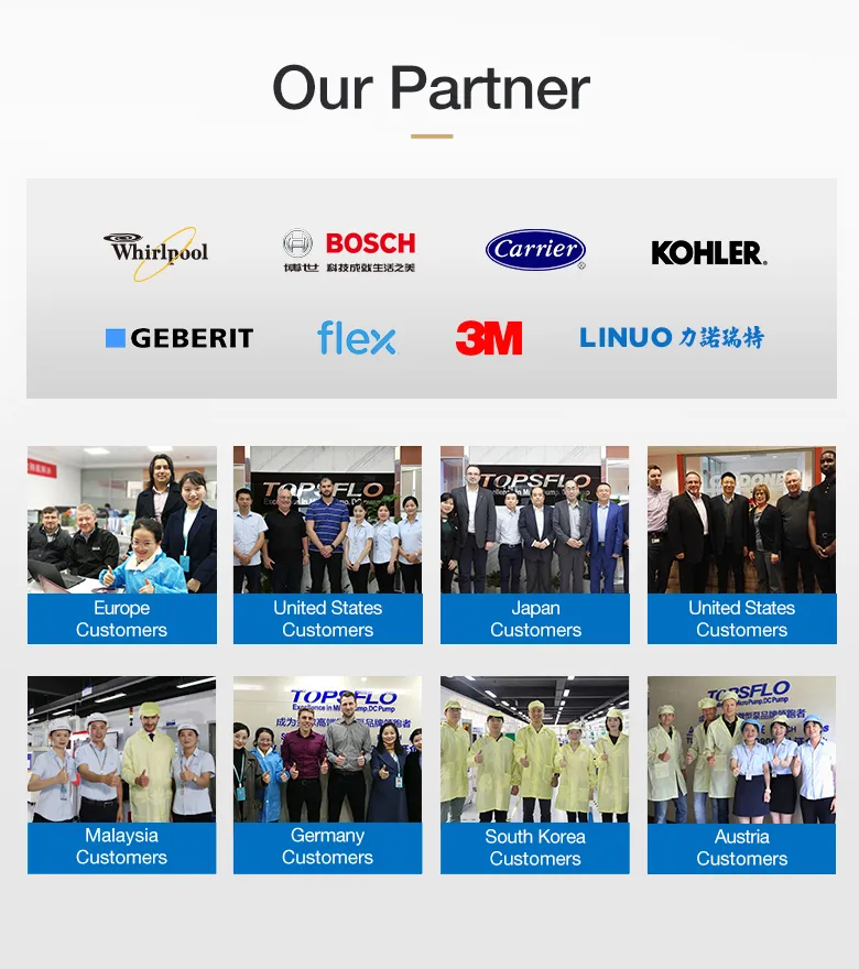 Topsflo Double Head Brushless Mini Air Pump Factory