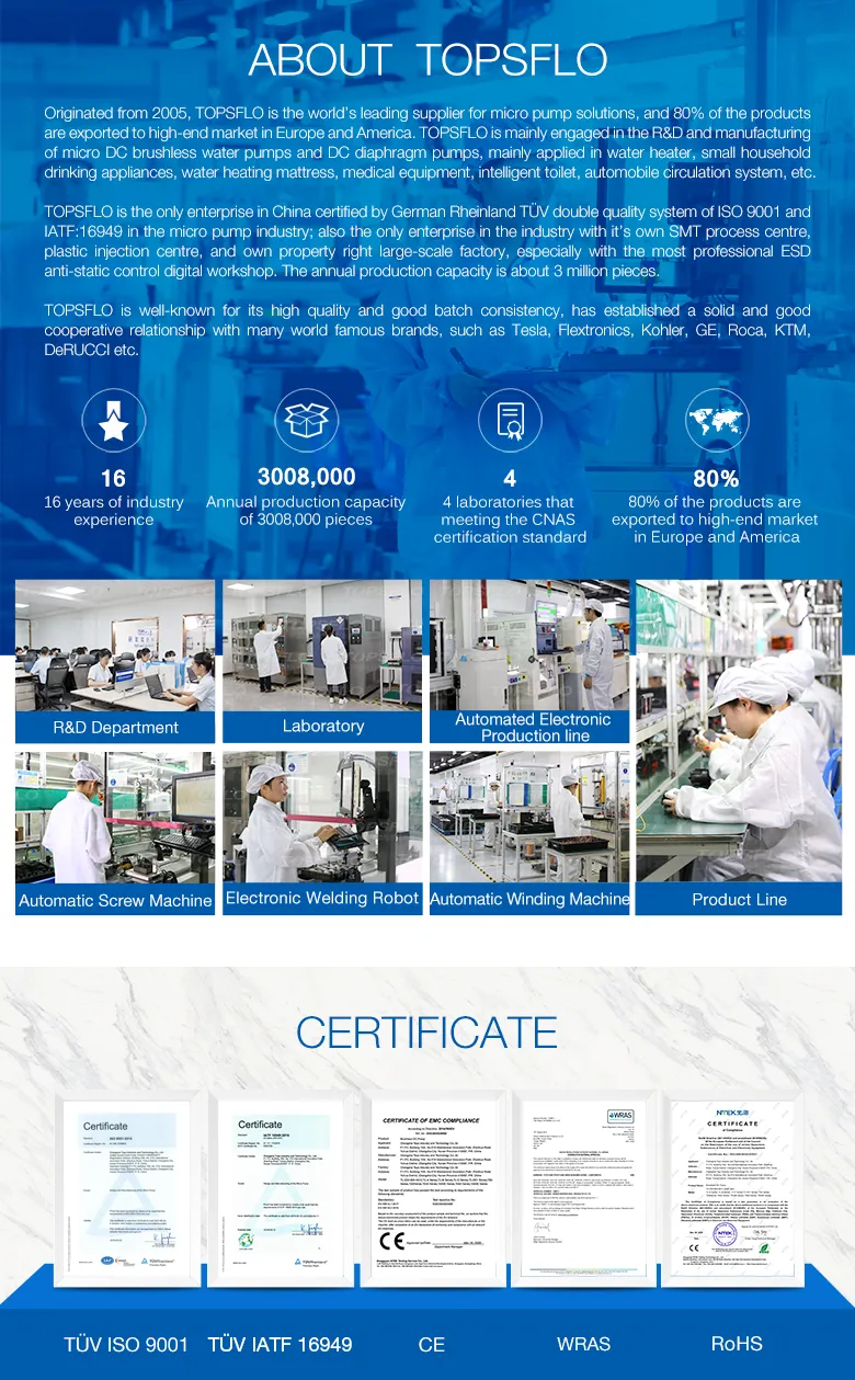 Topsflo Double Head Brushless Mini Air Pump Factory