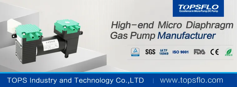 Topsflo Double Head Brushless Mini Air Pump Factory