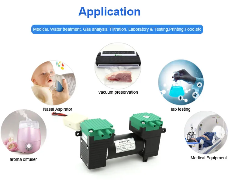 Topsflo Double Head Brushless Mini Air Pump Factory