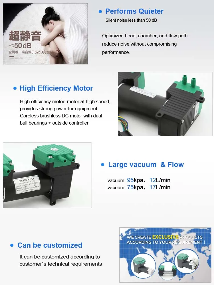 Topsflo Double Head Brushless Mini Air Pump Vacuum Pump