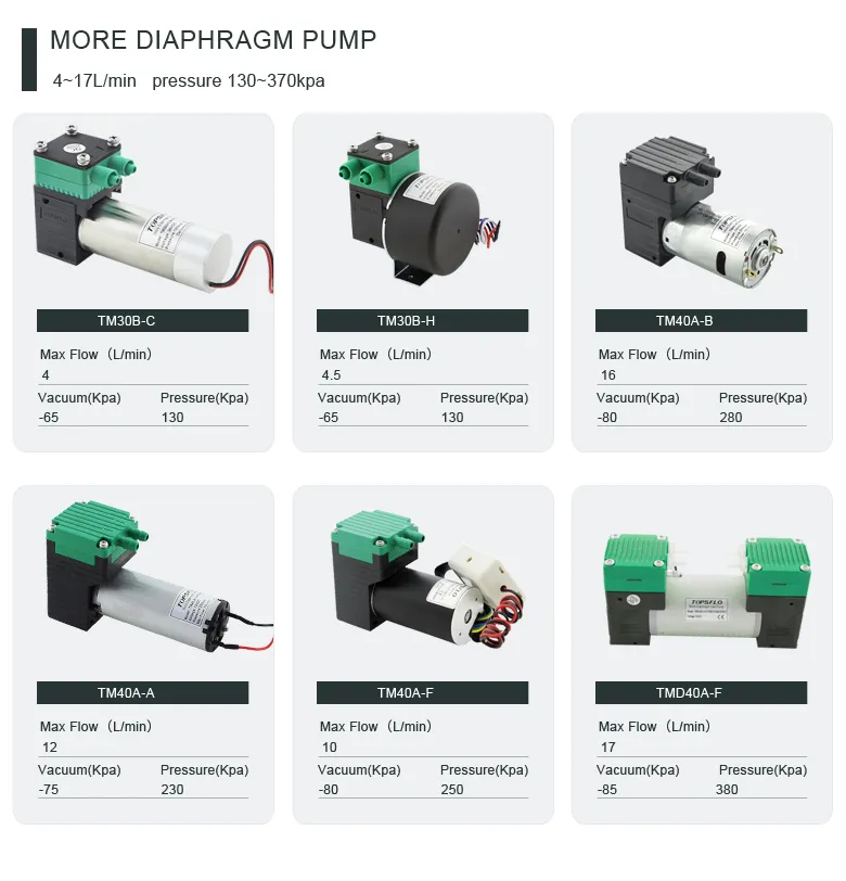 Topsflo Low Noise High Performance Brush Moto Air Mini Vacuum Pump