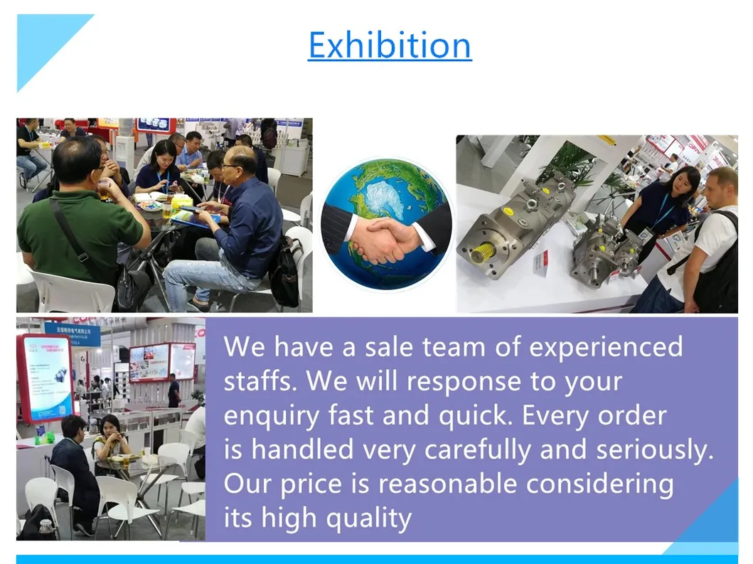 Toshiba Series Sg02/Sg025/Sg04/Sg08/Sg12/Sg20 Hydraulic Motor Spare Parts