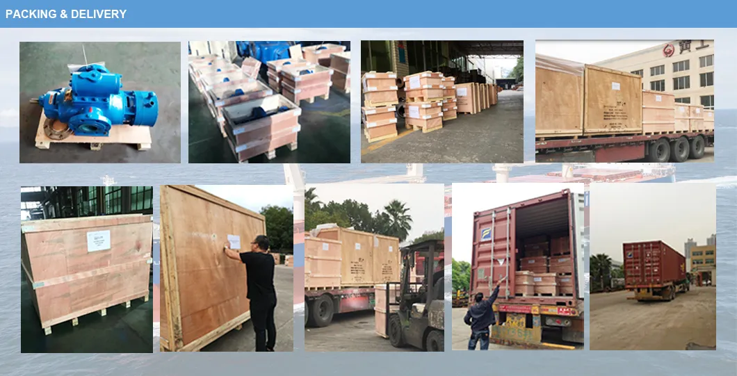 Two Twin Double Screw Pump for Chemical Service Industry