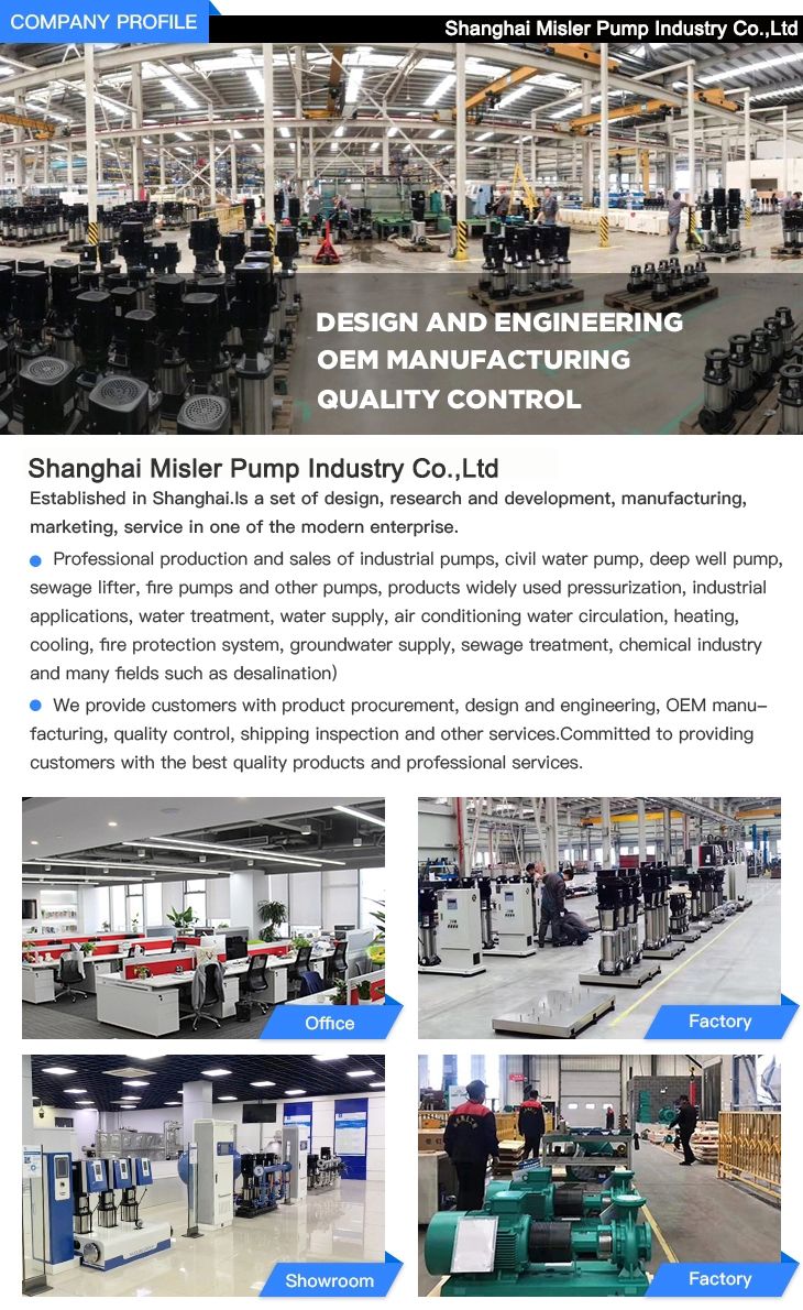 Variable Speed in Ground Swimming Pool Pump (1.5 HP)