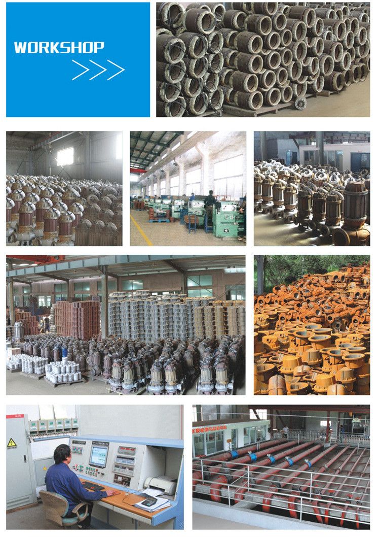 Wq Sewage Treatment Low-Lift Large Flow Submersible Ewage Pump