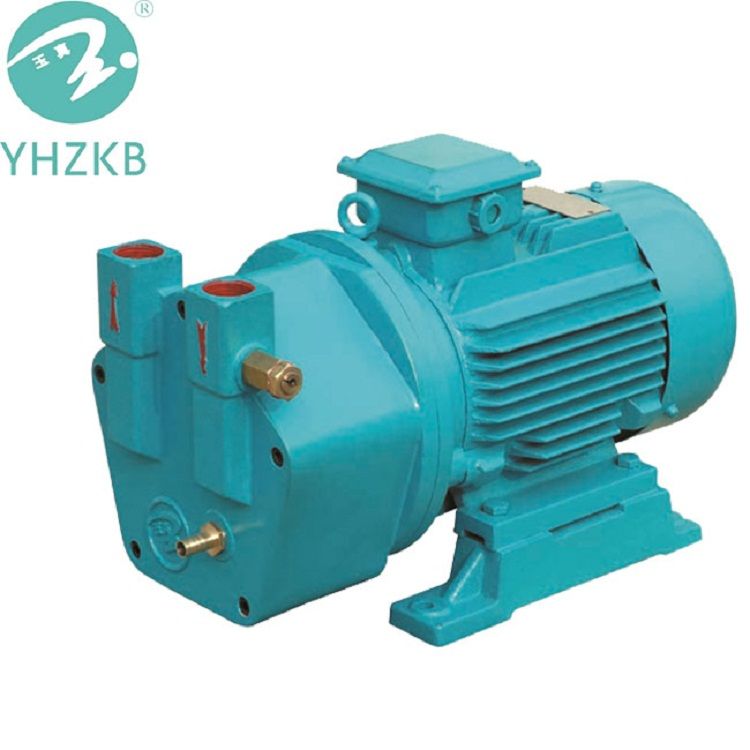 Yhzkb Liquid Ring Vacuum Pump for Sterilization