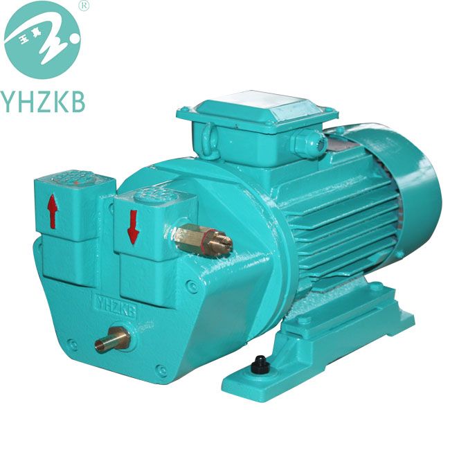 Yhzkb Liquid Ring Vacuum Pump for Sterilization