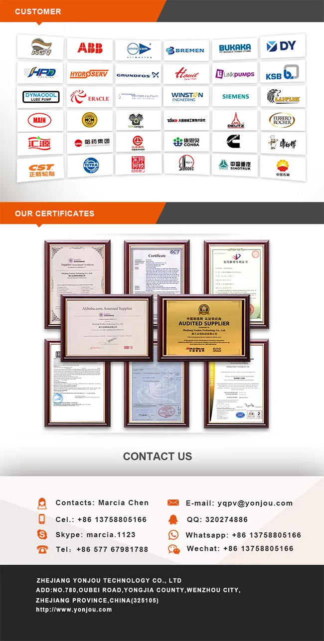 Yonjou Brand Gear Oil Lubrication Pump