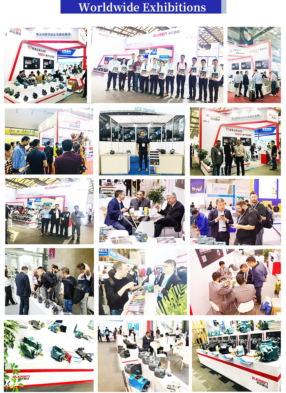 Yuken Hydraulic Pumps A145 A100 A70 A45 A37 Series Oil Pump Made in China