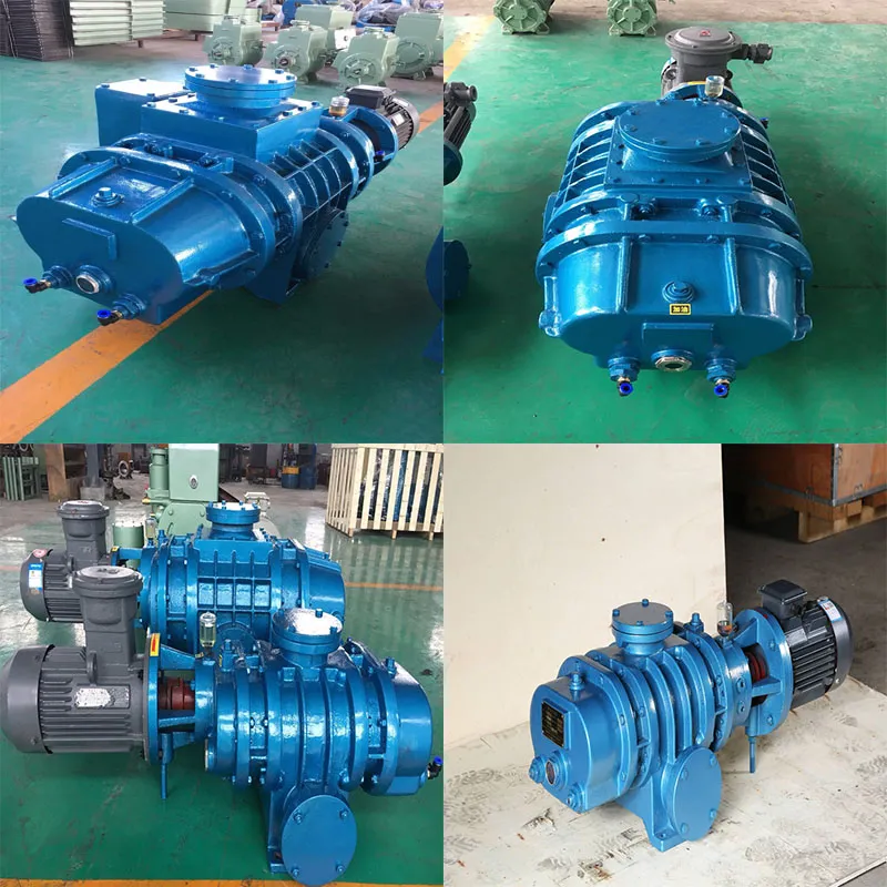 Zib-300 Roots Pump Yulong Vacuum