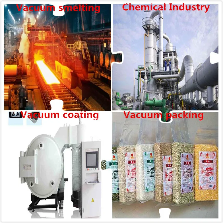 Zib-300 Roots Pump Yulong Vacuum